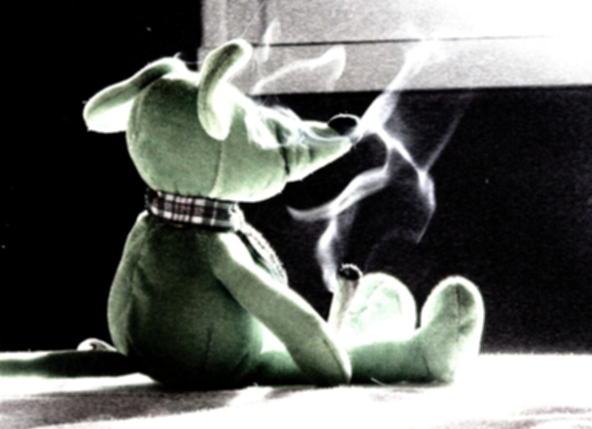 Souris verte et changement