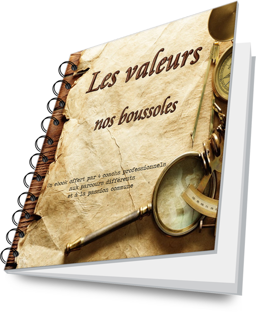 Les valeurs. ebook à télécharger