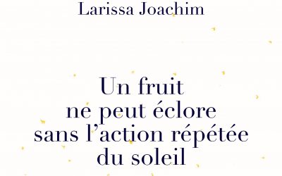 [CHRONIQUE LECTURE] Un fruit ne peut éclore sans l’action répétée du soleil