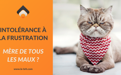 Intolérance à la frustration : mère de tous les maux ?